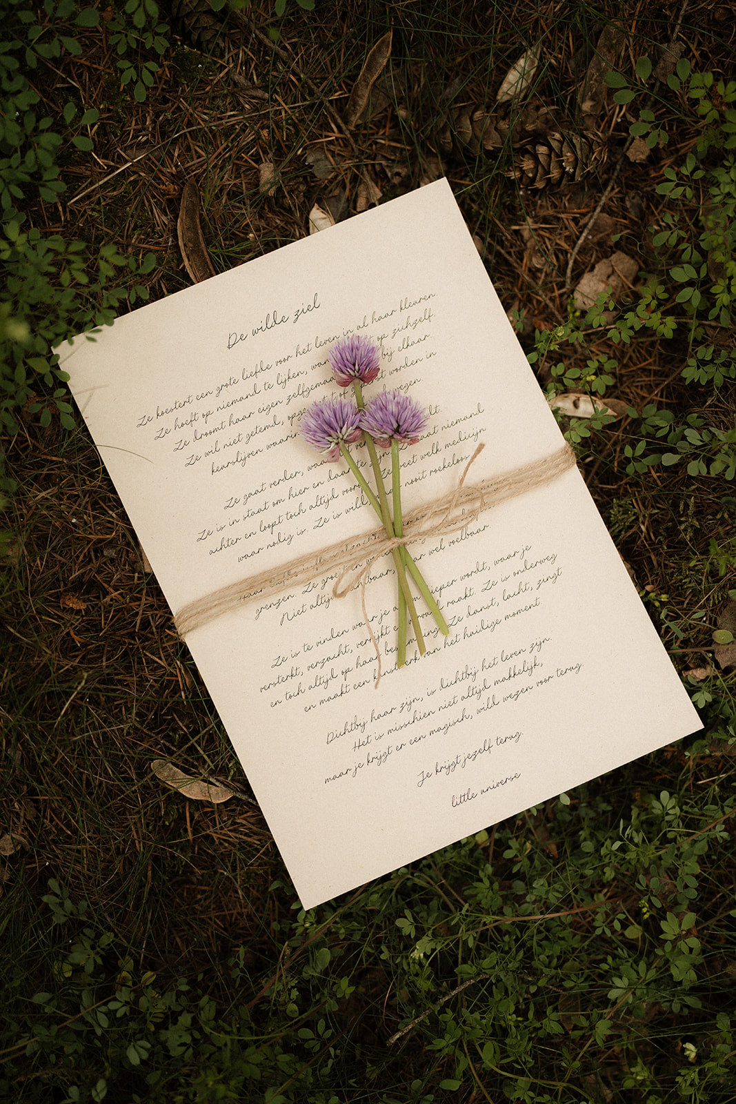 Print A4 'De wilde ziel'