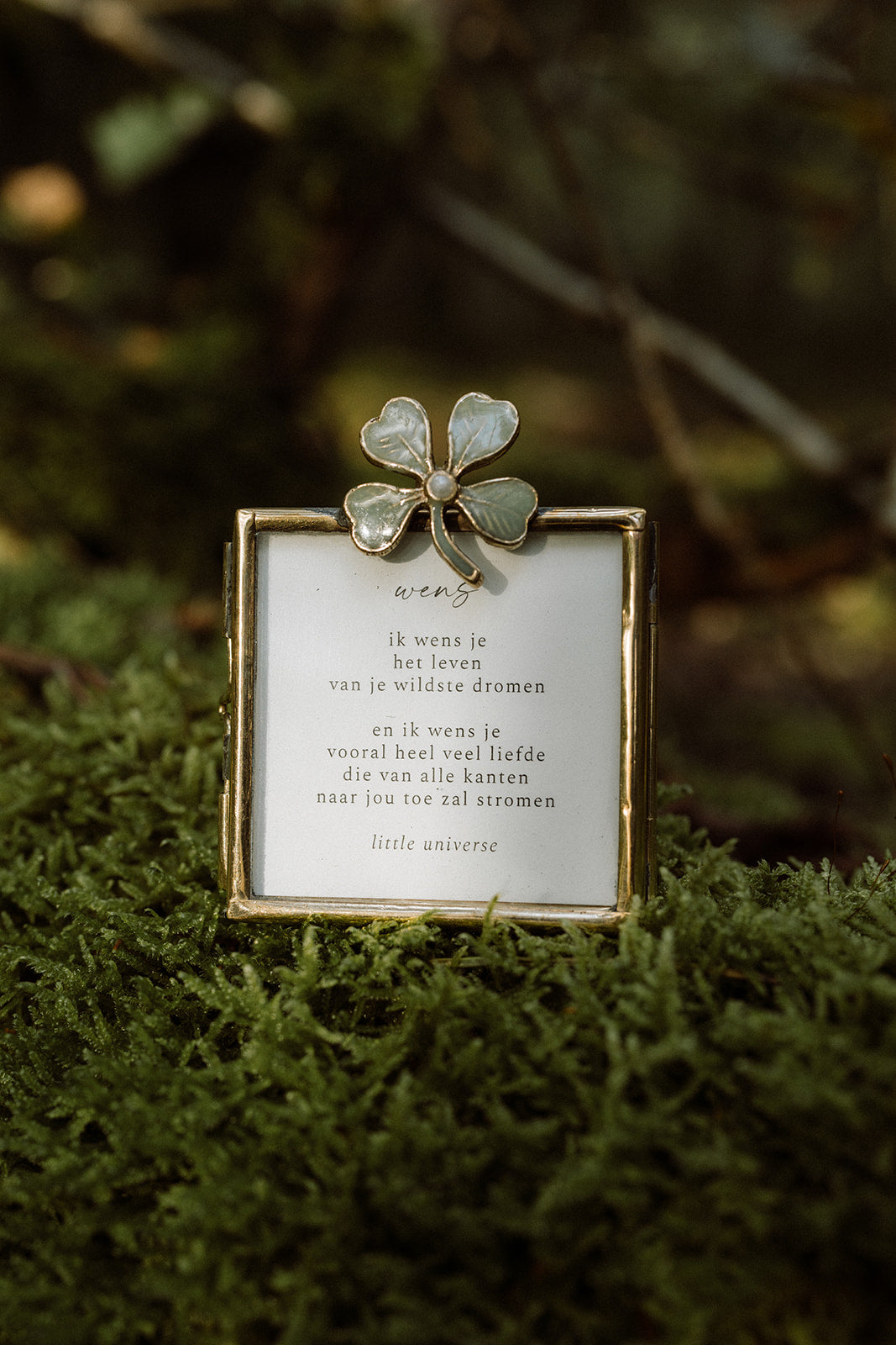 Fotolijstje 'Lucky Clover'