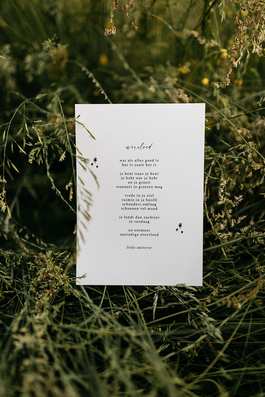 Print A5 'Overvloed'