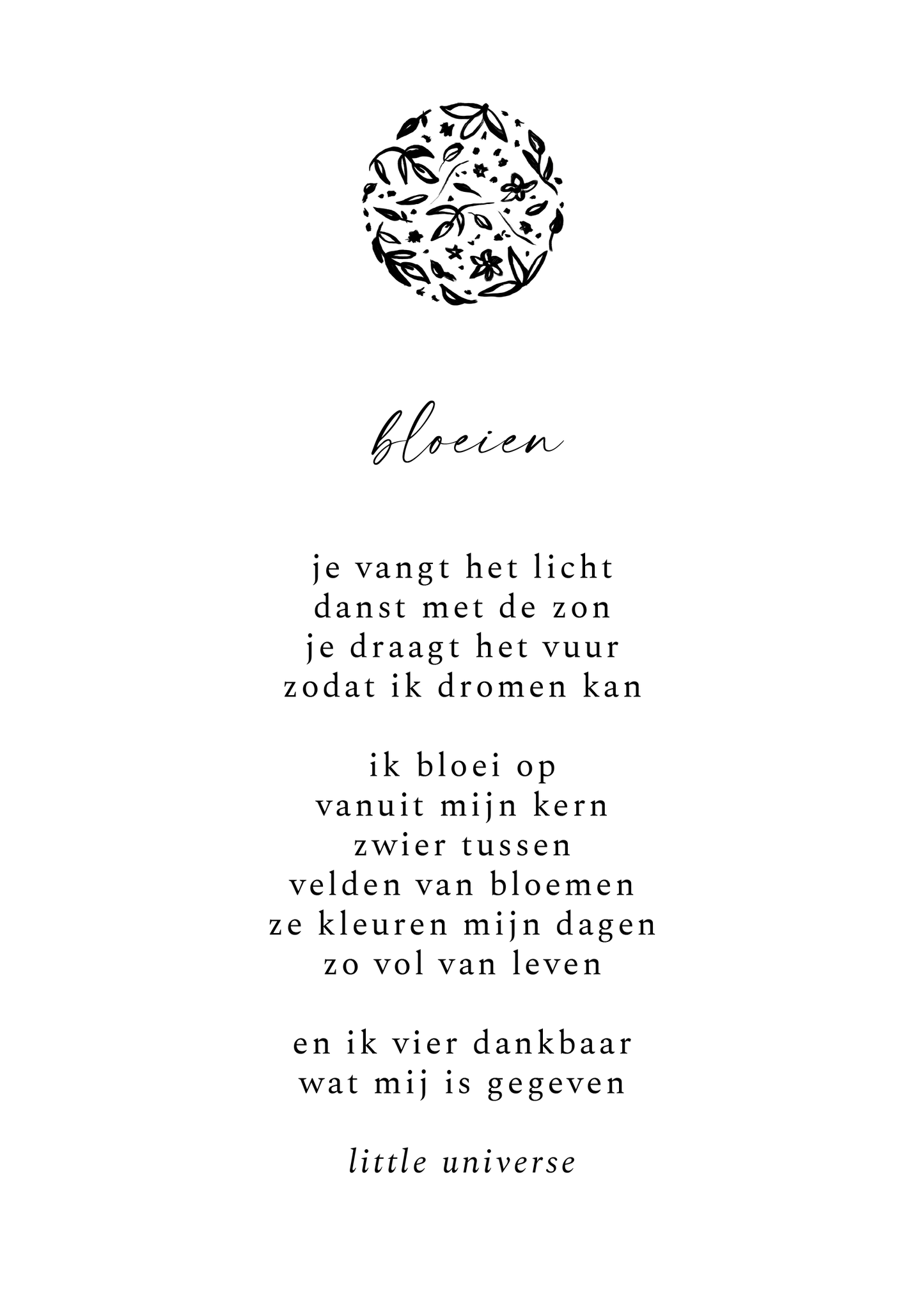 Pakket 'Maangedichten'