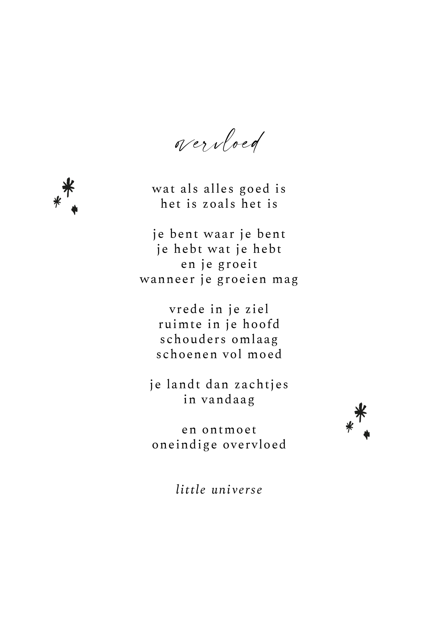 Print A5 'Overvloed'