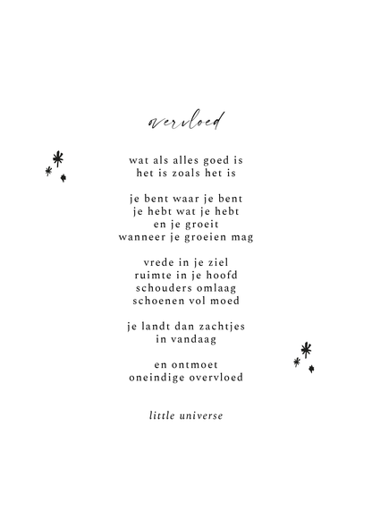 Print A5 'Overvloed'